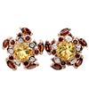 Image 1 : NATURAL MULTI COLOR CITRINE GARNET Earrings