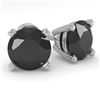 Image 1 : 2.0 CTW Black Diamond Stud Designer Earrings 14K White Gold - REF-58W4F - 38374