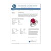 Image 3 : 6.0 CTW Ruby & Diamond Ring 14K White Gold - REF-100Y9K - 11524