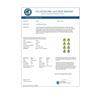 Image 3 : 7.46 CTW Peridot & Diamond Halo Earrings 10K Yellow Gold - REF-153K5W - 41167