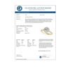 Image 3 : 1.11 CTW Certified VS/SI Diamond Solitaire Halo Ring 18K Yellow Gold - REF-213N6Y - 26391