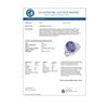 Image 3 : 4.06 CTW Tanzanite & Diamond Ring 18K White Gold - REF-113Y6K - 14175