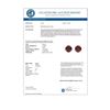 Image 3 : 4 CTW Garnet Designer Inspired Solitaire Stud Earrings 18K White Gold - REF-29T3M - 21823