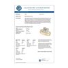 Image 3 : 1.01 CTW Certified VS/SI Princess Diamond 2Pc Set Solitaire Halo 14K Yellow Gold - REF-149F3N - 3135