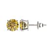 Image 2 : 1.50 CTW Certified Intense Yellow SI Diamond Solitaire Stud Earrings 10K White Gold - REF-192A2X - 3