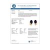 Image 2 : 1.20 CTW Blue Sapphire & Diamond Earrings 10K Yellow Gold - REF-12T5M - 12829