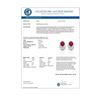 Image 3 : 2.50 Ruby & Micro Pave VS/SI Diamond Stud Earrings 10K White Gold - REF-25A6X - 22336