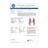 Image 3 : 4.33 CTW Multi-Sapphire & Diamond Earrings 14K White Gold - REF-89W3F - 10028