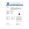 Image 2 : 1.02 CTW Ruby & Diamond Pendant 14K White Gold - REF-12H8A - 14044