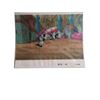 Image 1 : Filmation Studios She-Ra Animation Cel