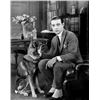 Image 4 : Rudolph Valentino Mounted Spats