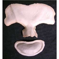 Underworld: Evolution Michael Hybrid Prosthetics Movie Props