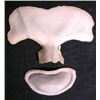 Image 1 : Underworld: Evolution Michael Hybrid Prosthetics Movie Props