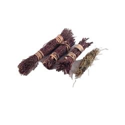 Tulip Fever Maria (Holliday Grainger) Movie Props