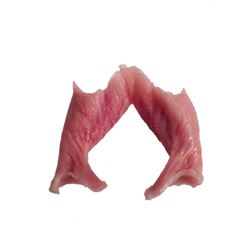 Underworld: Blood Wars Lycan Gum Movie Props