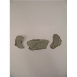 Underworld: Evolution Michael (Scott Speedman) Prosthetics Movie Props