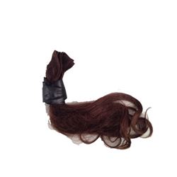 Resident Evil: The Final Chapter Alice's (Milla Jovovich) Clone Doubles Hair Movie Props