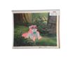 Image 1 : Lucasfilm Ltd. Ewoks Animation Cel