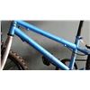 Image 2 : BLUE CARRERA YOUTH BIKE