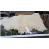 Image 1 : SMALL SHEEPSKIN