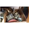 Image 2 : 2 BOXES OF WOLF FIGURES