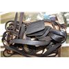 Image 3 : HORSE HARNESS AND REIGNS