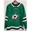 Image 3 : ALEXANDER RADULOV SIGNED STARS HOCKEY JERSEY W/ A.J SPORTSWORLD COA