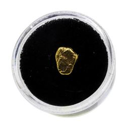 1.14 Gram Gold Nugget