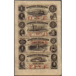 Uncut Sheet of 1857 Western Exchange Fire & Marine Insurance Co. Obsolete Notes