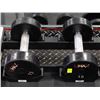 Image 1 : PAIR OF 15LB UMAX DUMBBELLS