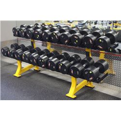 HAMMER STRENGTH 2 ROW DUMBBELL RACK