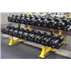 HAMMER STRENGTH 2 ROW DUMBBELL RACK
