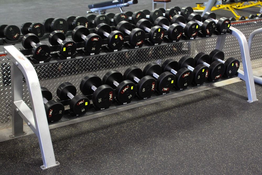 life fitness 2 row dumbbell rack