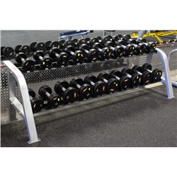 LIFE FITNESS 2 ROW DUMBBELL RACK