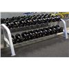 LIFE FITNESS 2 ROW DUMBBELL RACK