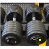 Image 1 : PAIR OF 120LB IGX DUMBBELLS