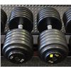 Image 1 : PAIR OF 115LB IGX DUMBBELLS
