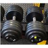Image 1 : PAIR OF 95LB IGX DUMBBELLS