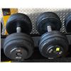 Image 1 : PAIR OF 60LB IGX DUMBBELLS