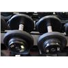 Image 1 : PAIR OF 30LB IGX DUMBBELLS