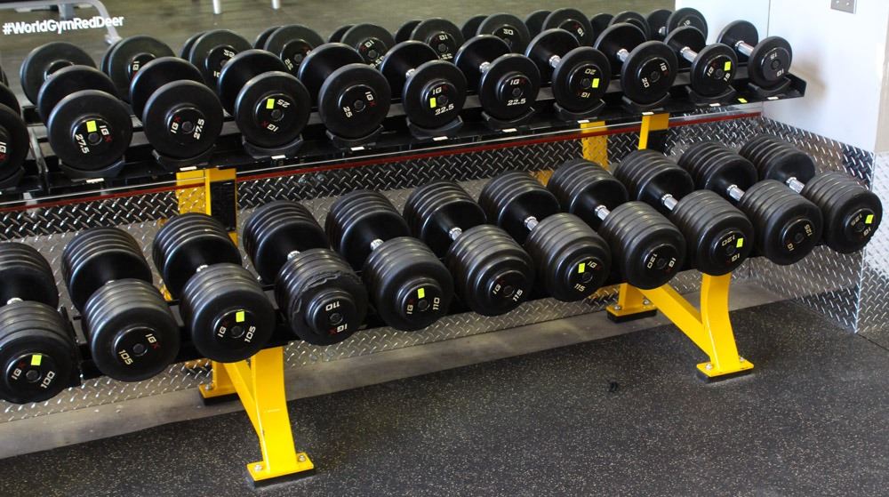 HAMMER STRENGTH 2 ROW DUMBBELL RACK