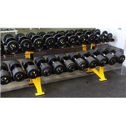 HAMMER STRENGTH 2 ROW DUMBBELL RACK