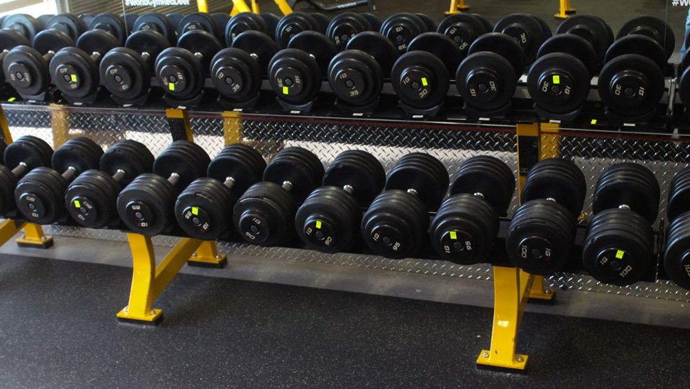 fixed dumbbells on a rack fixed dumbbells on a rack