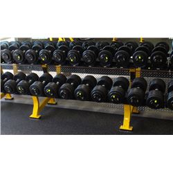 HAMMER STRENGTH 2 ROW DUMBBELL RACK