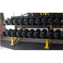 HAMMER STRENGTH 2 ROW DUMBBELL RACK