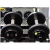Image 1 : PAIR OF 20LB IGX DUMBBELLS