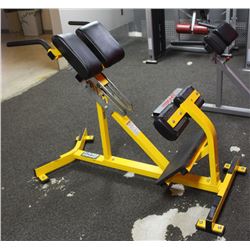 HAMMER STRENGTH BACK EXTENSION