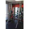 Image 1 : LIFE FITNESS SMITH MACHINE WITH