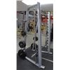 Image 1 : LIFE FITNESS SMITH MACHINE WITH