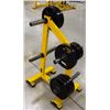 Image 1 : HAMMER STRENGTH WEIGHT RACK WITH 170LB OF WEIGHTS